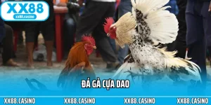 Ảnh đại diện Đá Gà Cựa Dao