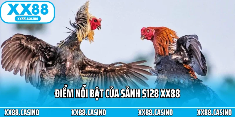 Điểm nổi bật của sảnh S128 XX88 Điểm nổi bật của sảnh S128 XX88